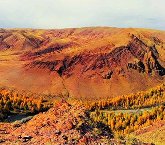 Осенняя палитра Кокоря