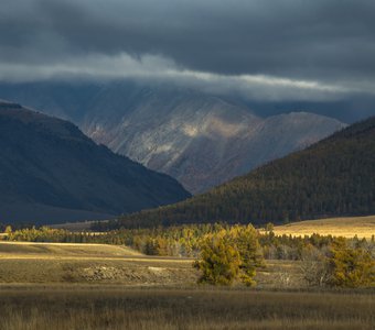 Осенний свет у подножия Северо-Чуйского хребта
