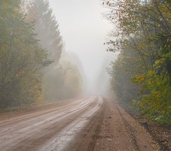 Осень в Псковской области