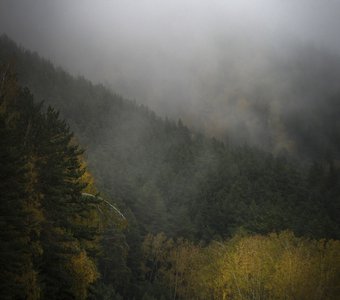 Туманами да лесами идет мой путь