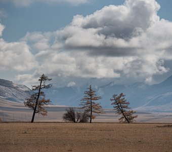 осенний пейзаж