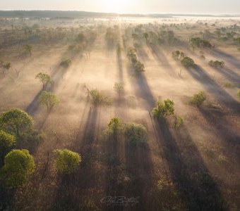 Рязанская Саванна