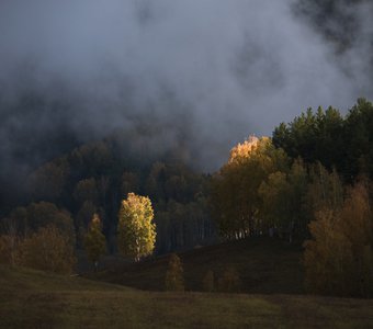 Солнце пытается пробиться сквозь утренний туман (Республика Алтай)