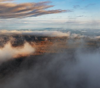 Тайга в тумане