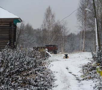 В северной деревне первый снег