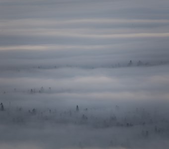 Призраки в тумане