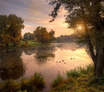 Осень в Павловске