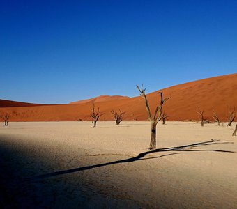 Мертвая долина, Намиб