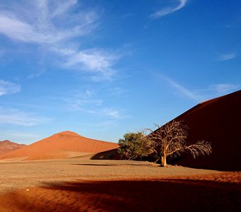 Утро в пустыне Намиб