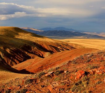 Складки красных холмов у хребта Чихачева. Алтай