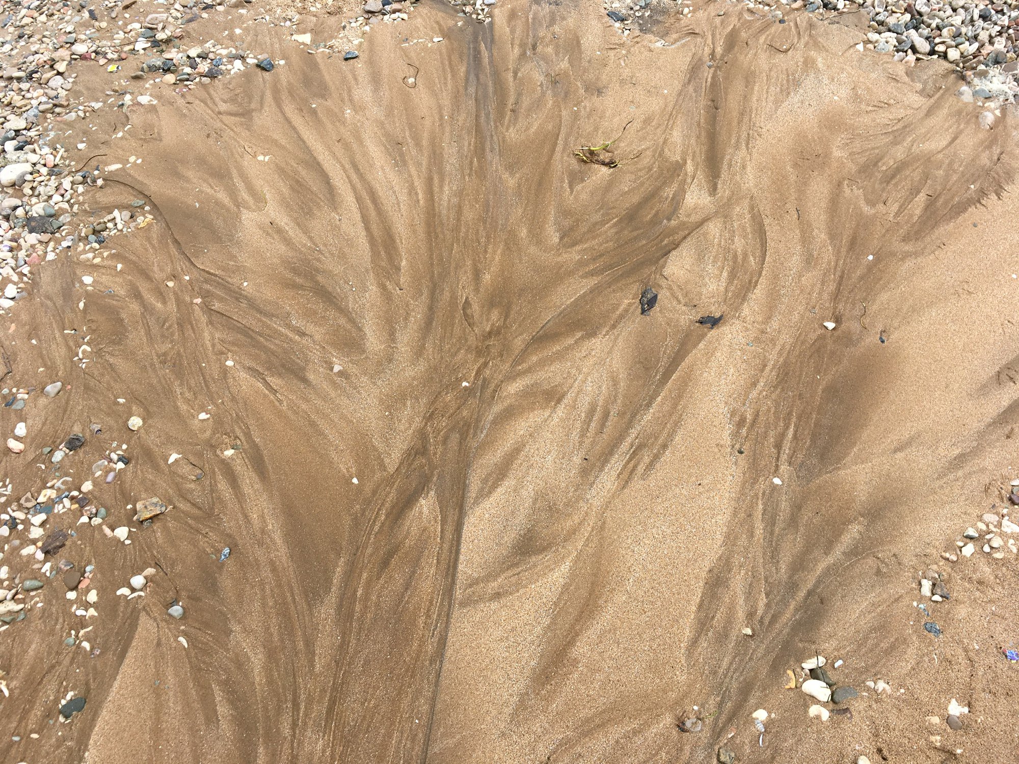 Линии Жизни