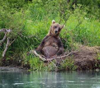 Кажется, я встретил Будду