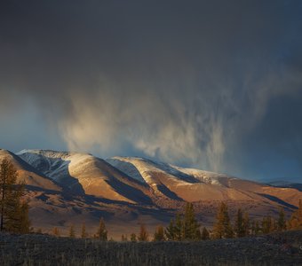 Локальный снегопад в горах Алтая