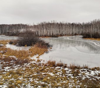 Кружевные дорожки бобрового пруда