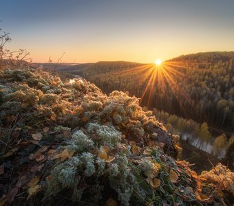 Луч солнца золотого