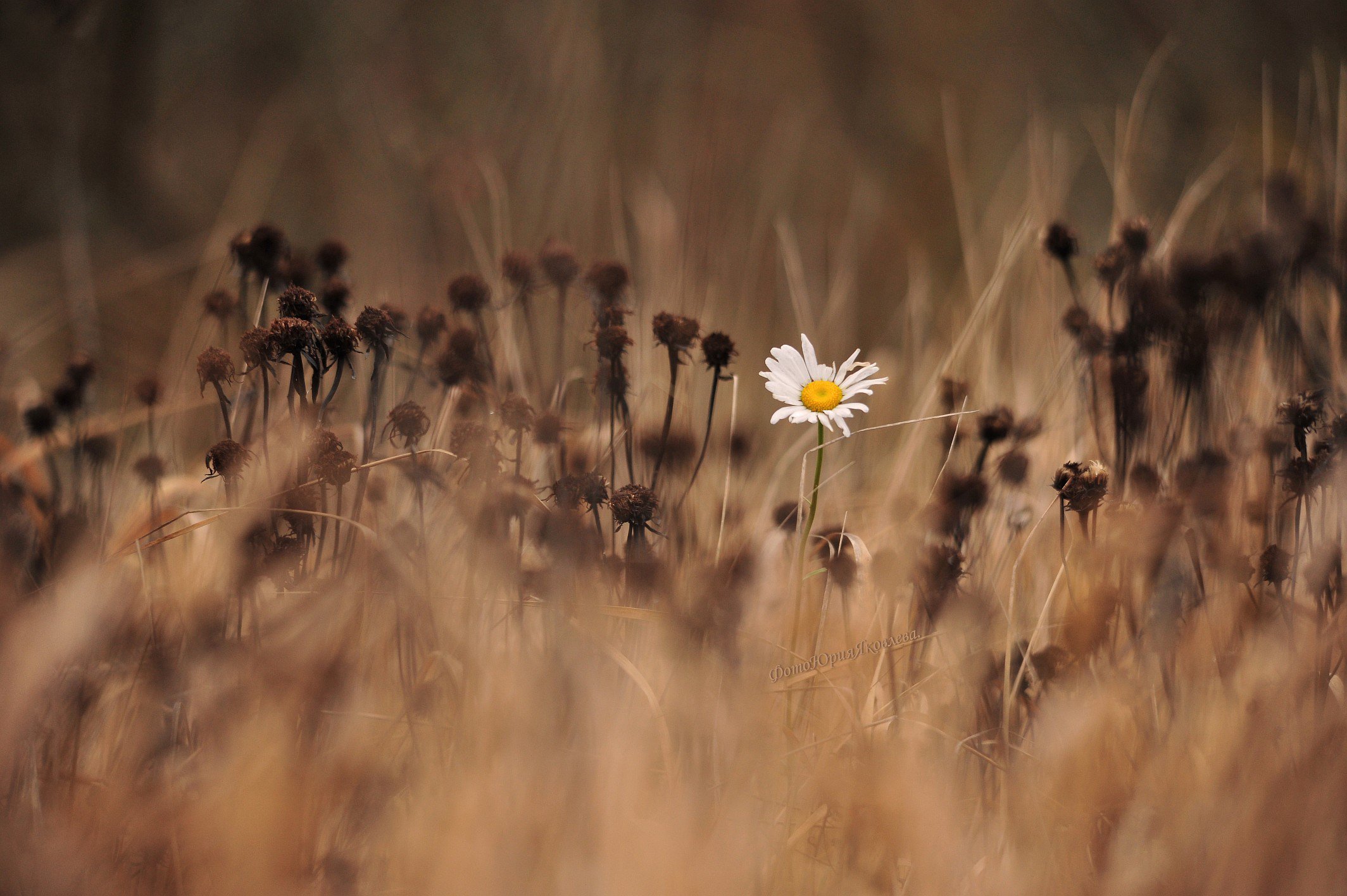 В одиночестве