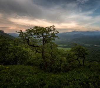 Хребет Уна-Коз