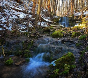 Седые волосы февраля