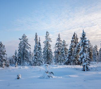 Русская зима