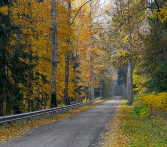 Осенние дороги Виштынецкого парка