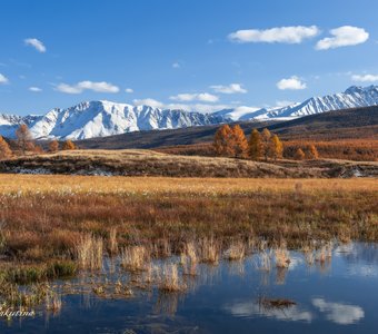 Солнечное утро на озере Джангысколь (Алтай)