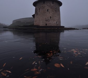 В утреннем тумане.