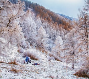 В гостях у сказки