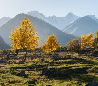 Дигорское ущелье, Северная Осетия