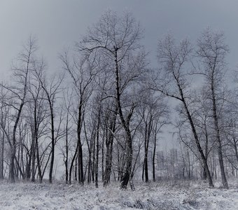 Снежная осень