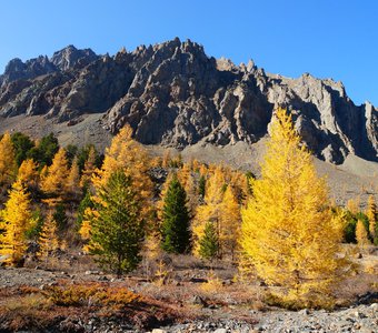 Осень в Горном Алтае