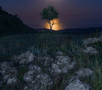 Ночь в крымских горах