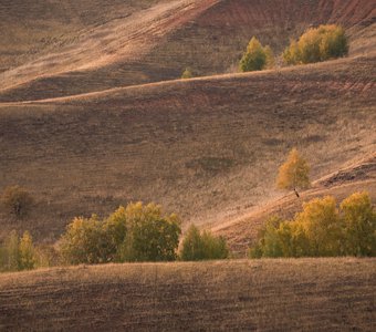 Горные зарисовки