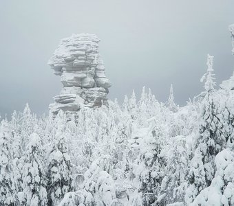 Колчимские призраки