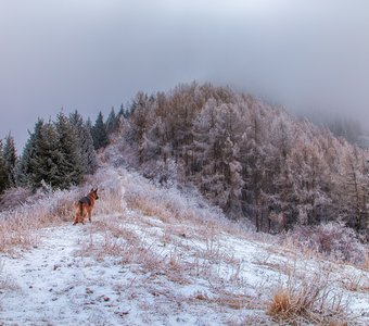 Осень на грани зимы