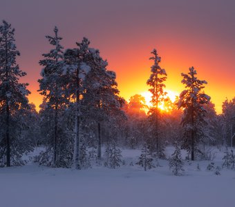 В лучах солнца