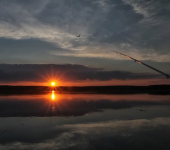 Ловец зааката