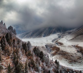 Осень на грани зимы