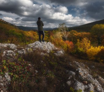 Цвет настроения осень