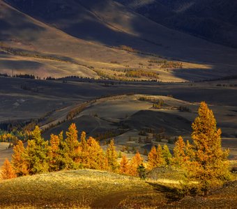 Осень в горах Алтая