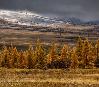 Осенний джаз