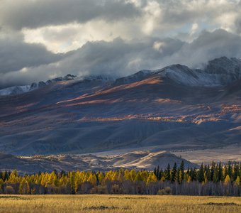 Курайский хребет (Алтай)