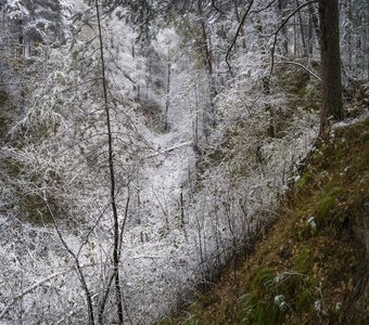 Первые снежные пробы (Новосибирск)