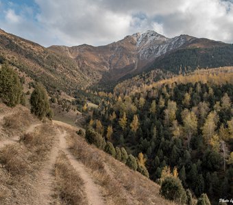 совсем недавно - золотая пора в горах урочище Бойрок, Чуйская область, Кыргызстан Nikon D5600 Nikkor AF-S DX 16-80 mm f/2.8-4.0