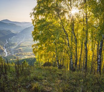 Золотая осень над Камлаком (Алтай)