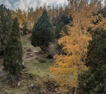 совсем недавно - золотая пора в горах урочище Бойрок, Чуйская область, Кыргызстан