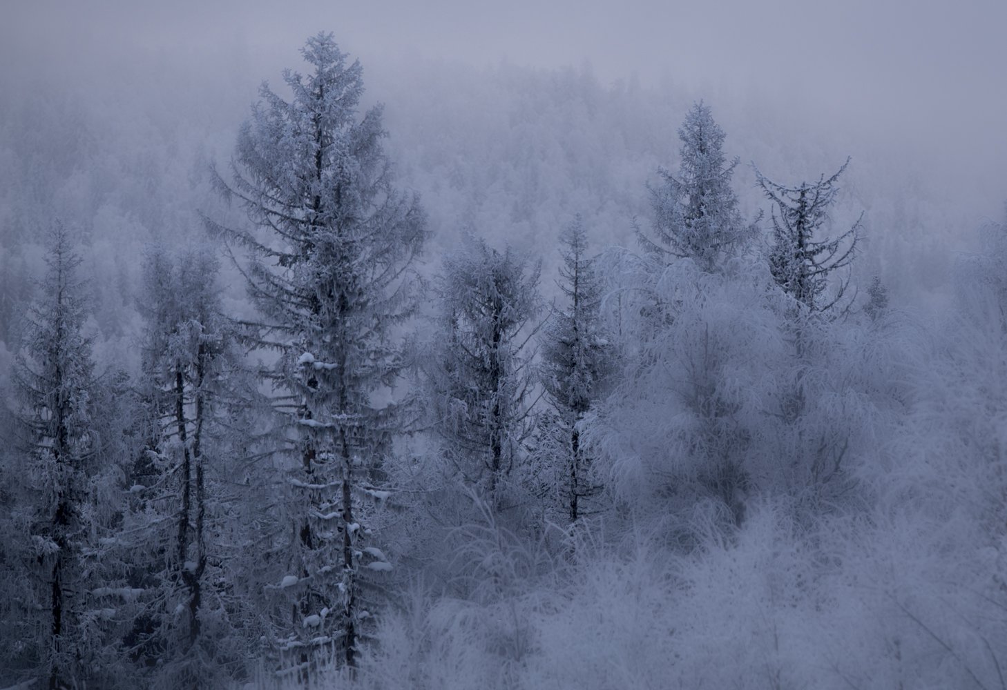 Холодное утро