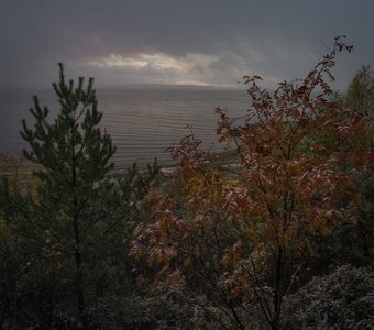 Осень Обского моря (Новосибирская область)