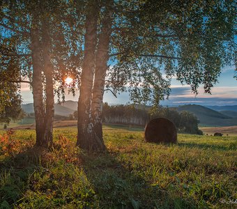 Сентябрь, он осени начало…