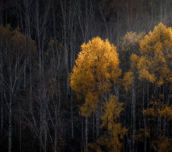 Последний луч