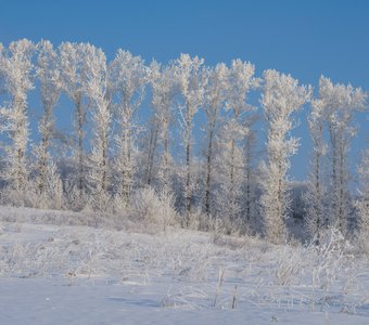 Морозный декабрь в Алтайском крае